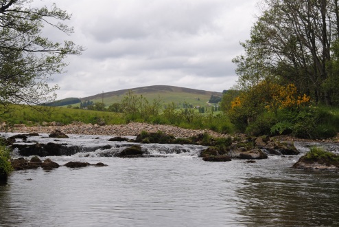 looking East upstream on the top pool of t6he river Deveron